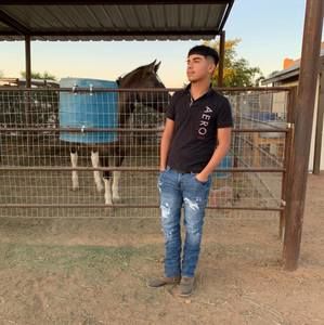 Meet your Posher, Ferny